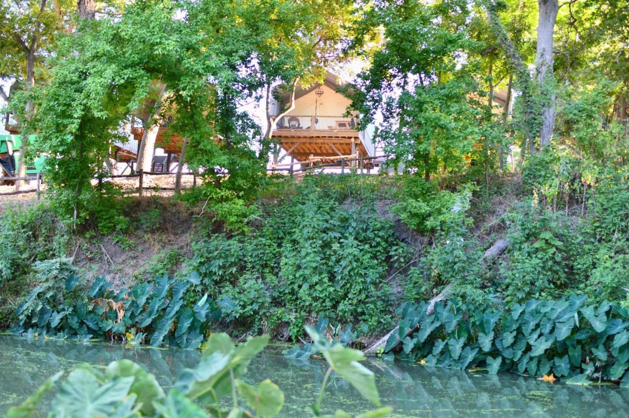 Son'S Rio Cibolo Birdhouse Cabin #10 Romantic Water Front Cabins Surrounded By Nature! Marion Exterior foto